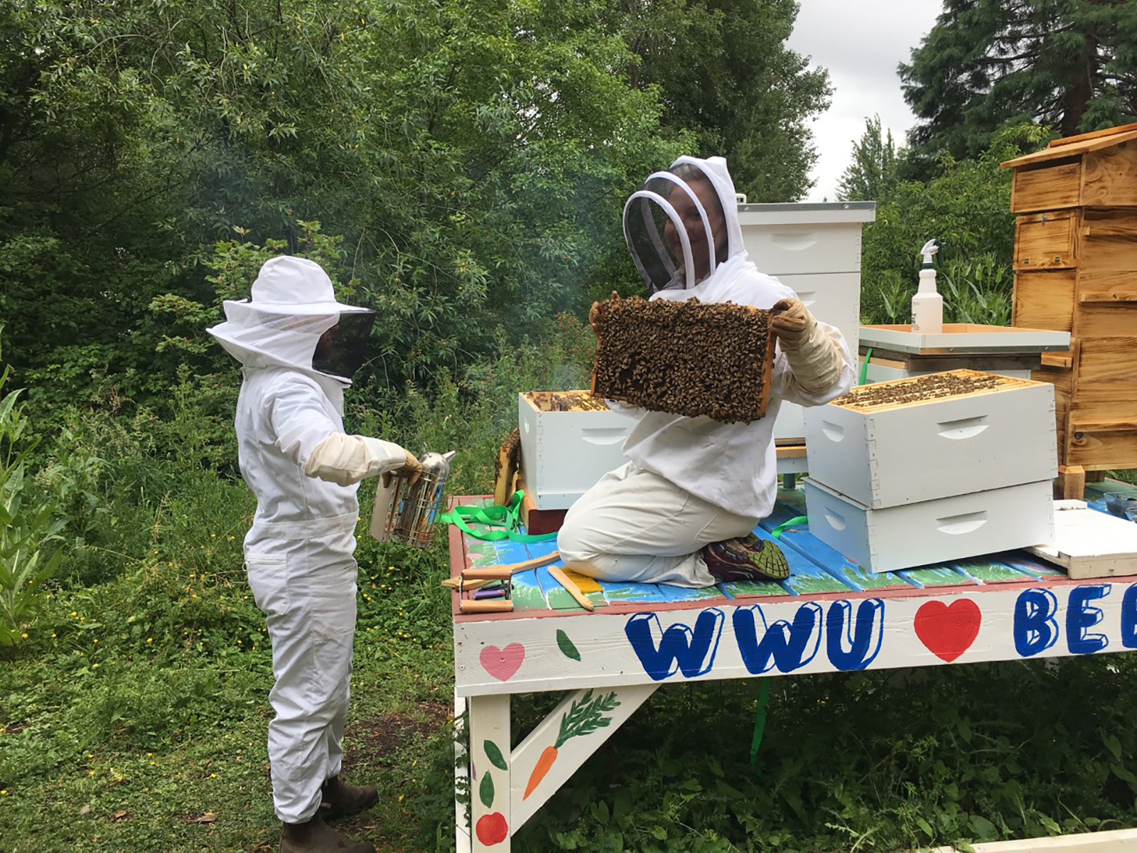Two people dressed in bee protective gear holding up the lid of a bee box that is covered in bees