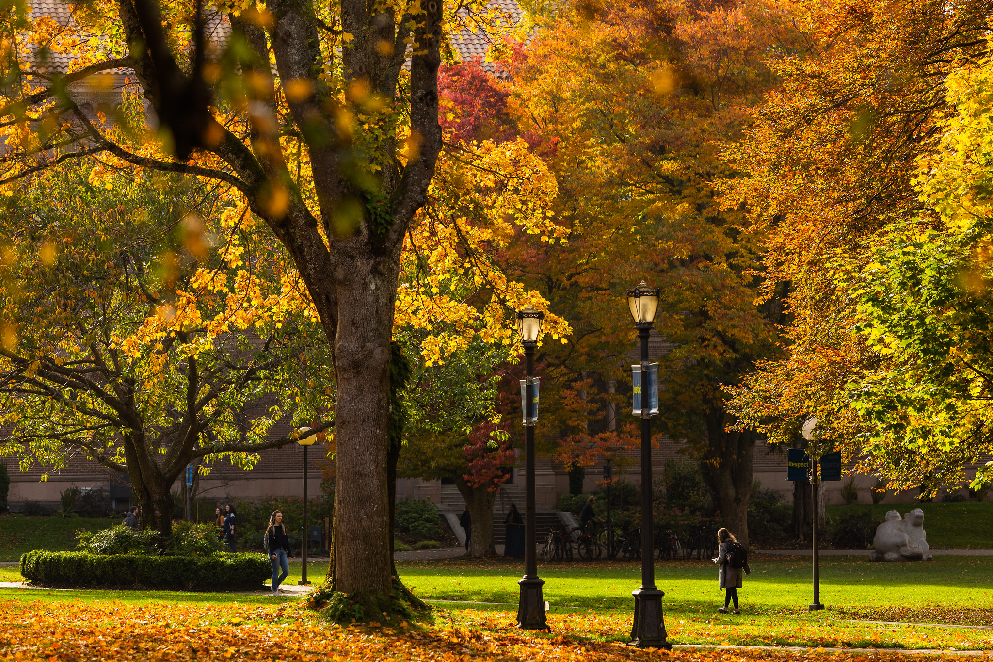 Old Main Lawn in fall with many trees and leaves on the ground