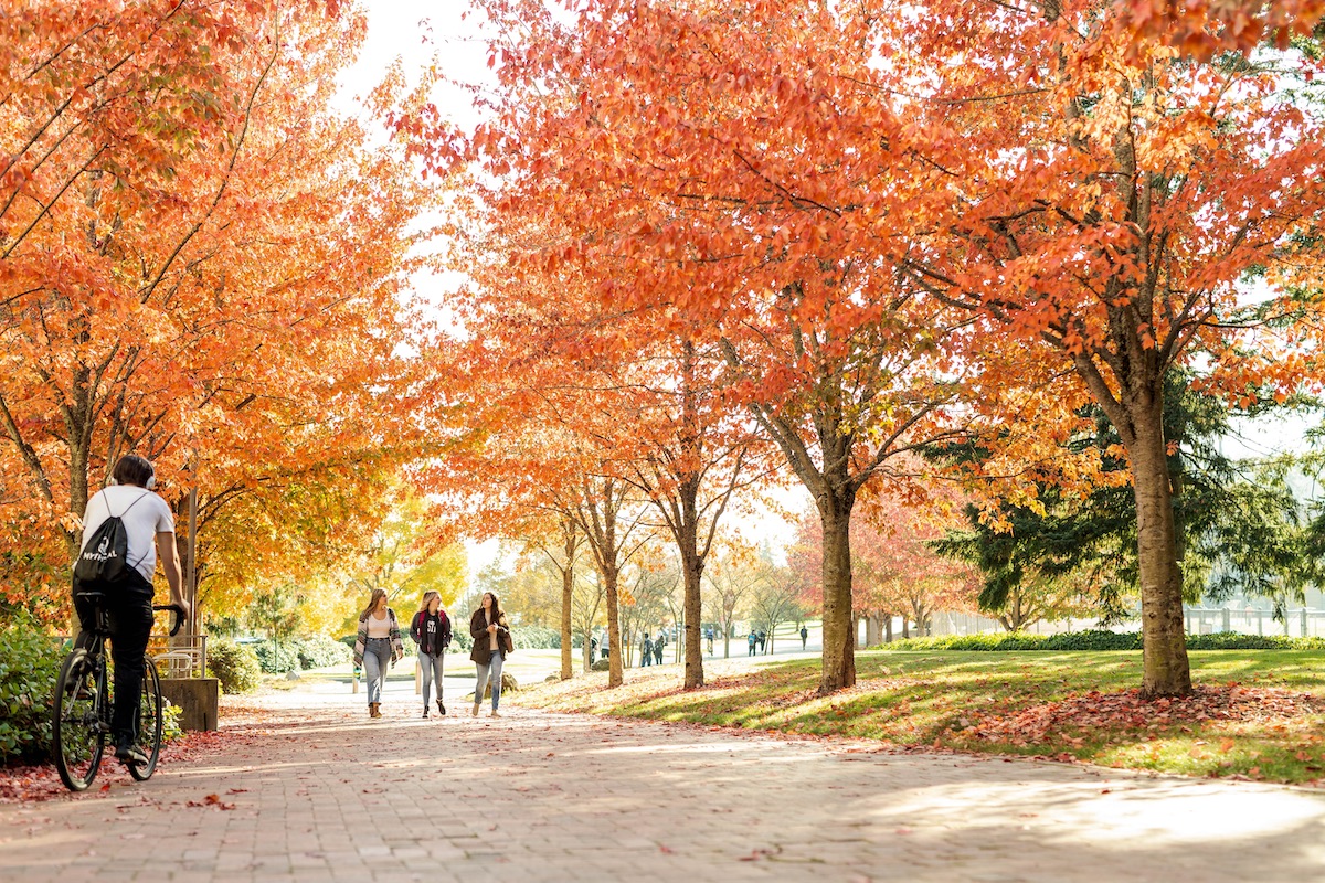 a pathway on campus with people walking and a bike going by and beautiful orange and yellow fall colors on the leaves of the trees
