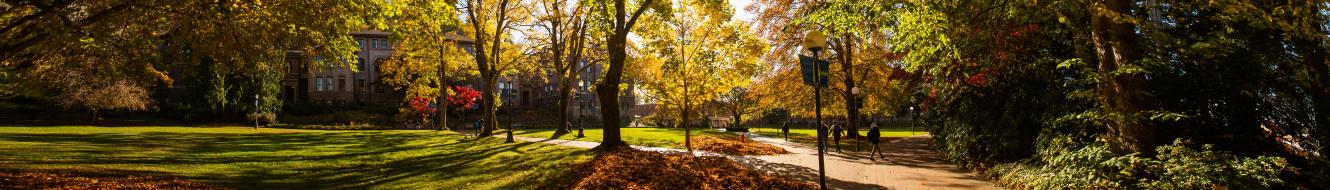 Old Main lawn with the sunlight filtering through large trees